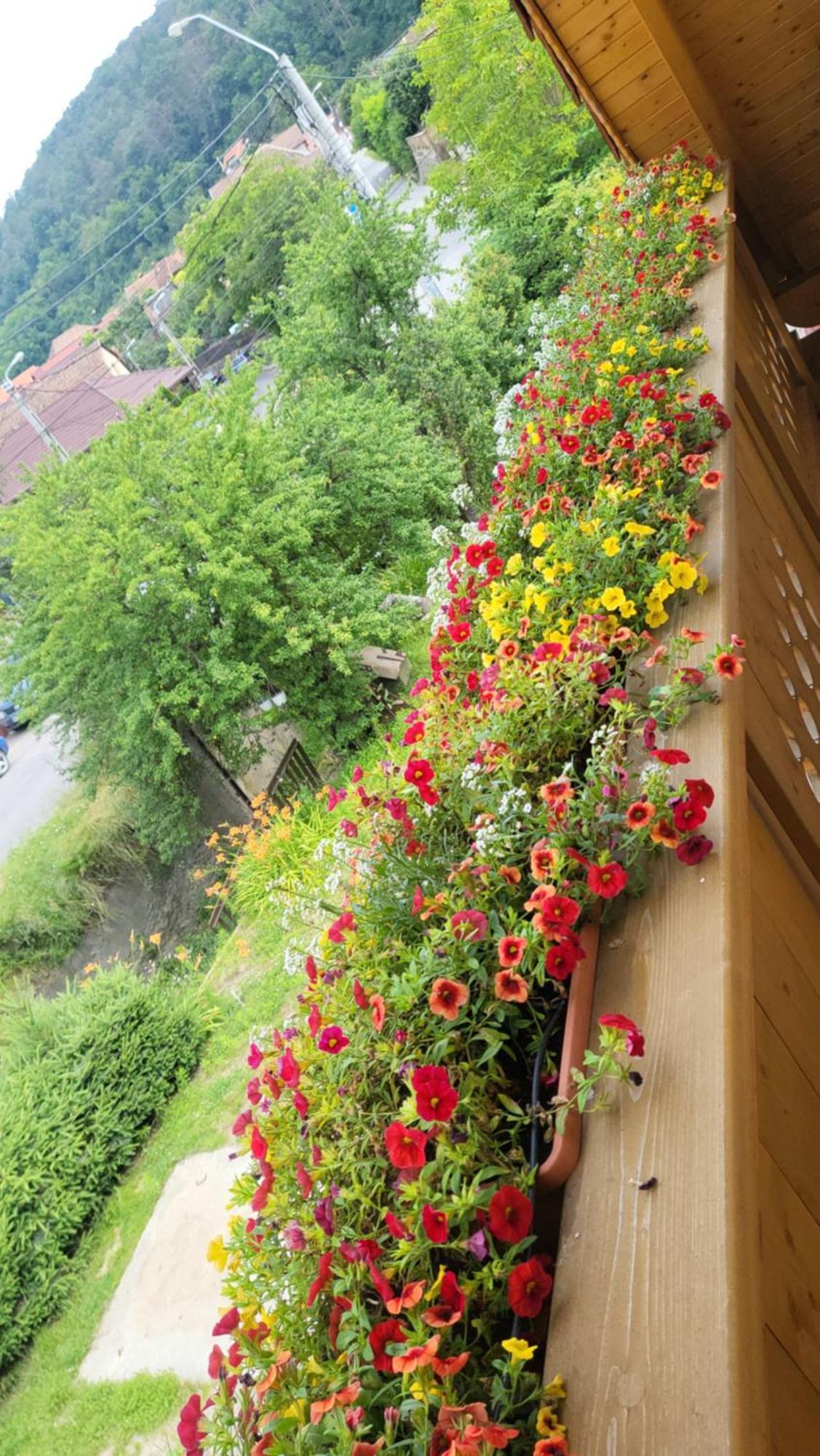 Casa Hetrea Villa ซิวิโชอารา ภายนอก รูปภาพ